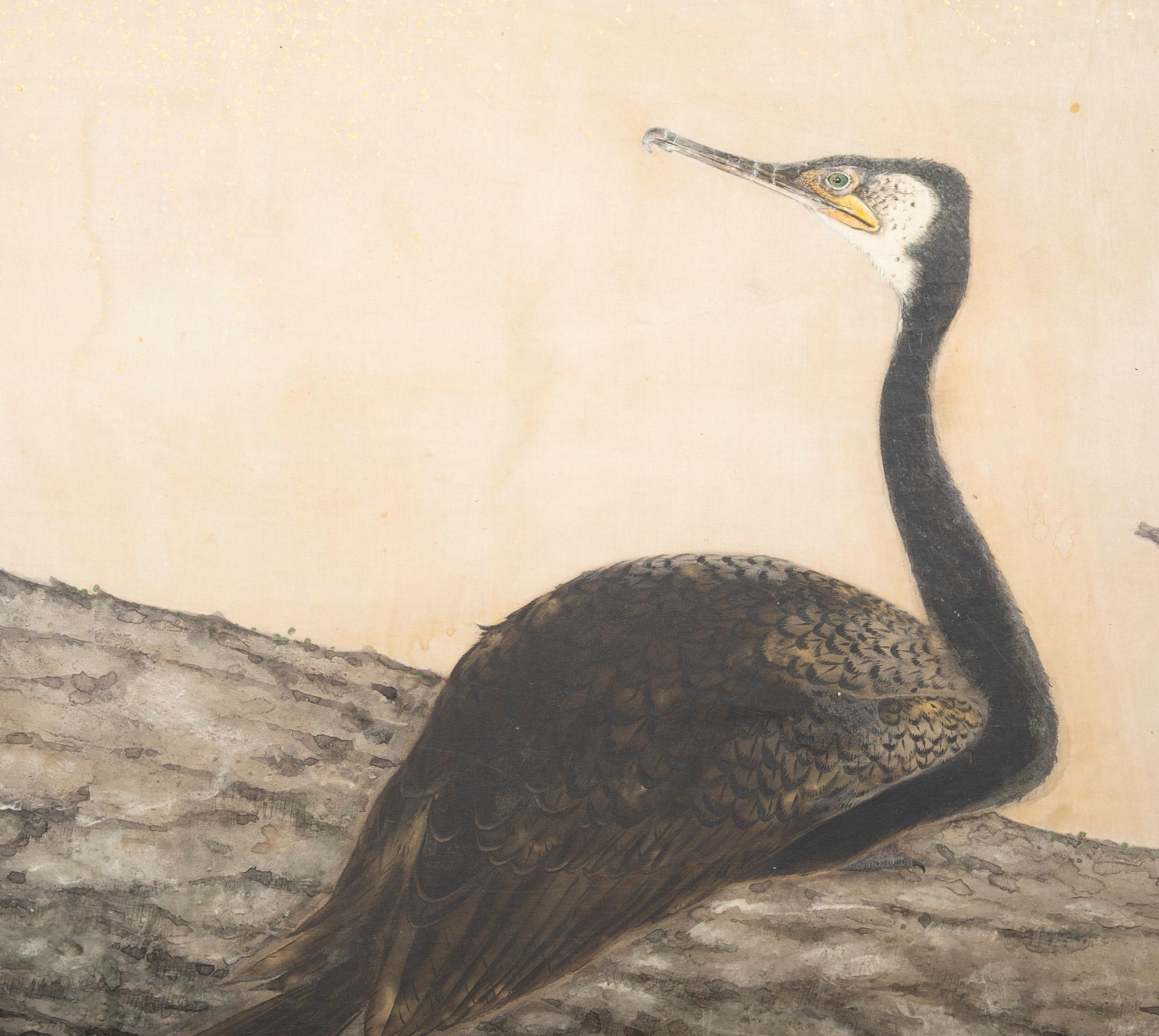 Early 20th Century Taisho Period Painted Silk Screen Depicting Nesting Cormorants by Asami Joujou For Sale