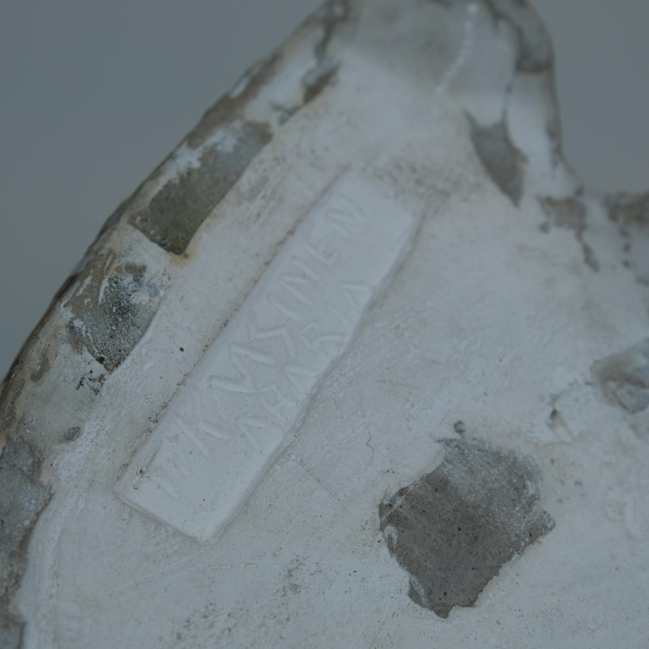 Escultura de cerámica artística Taisto Kaasinen Cebra y potro, Arabia Años 60 en venta 1