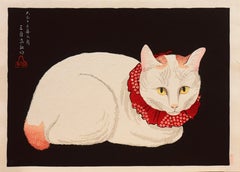 'Tama Cat'