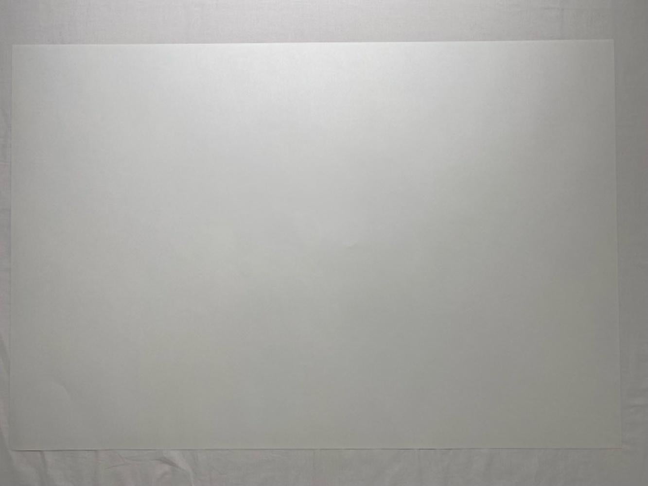 727999, 2016 Limited Edition by Takashi Murakami, signed by the artist For Sale 7