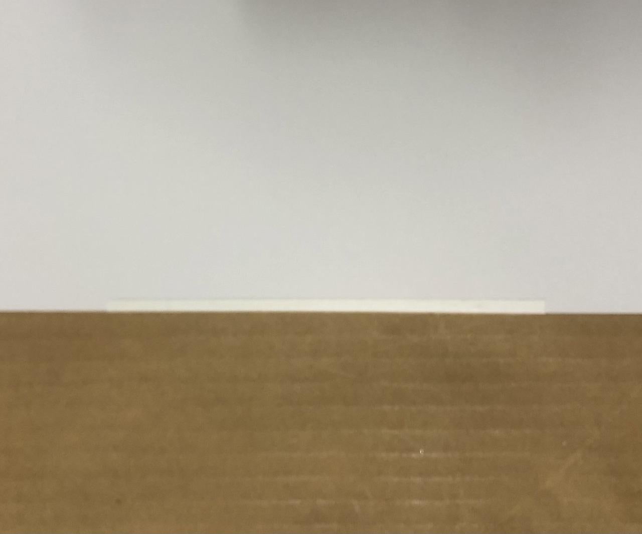 An Homage to IKB, 1957F. Limited Edition (print) by Takashi Murakami signed 11