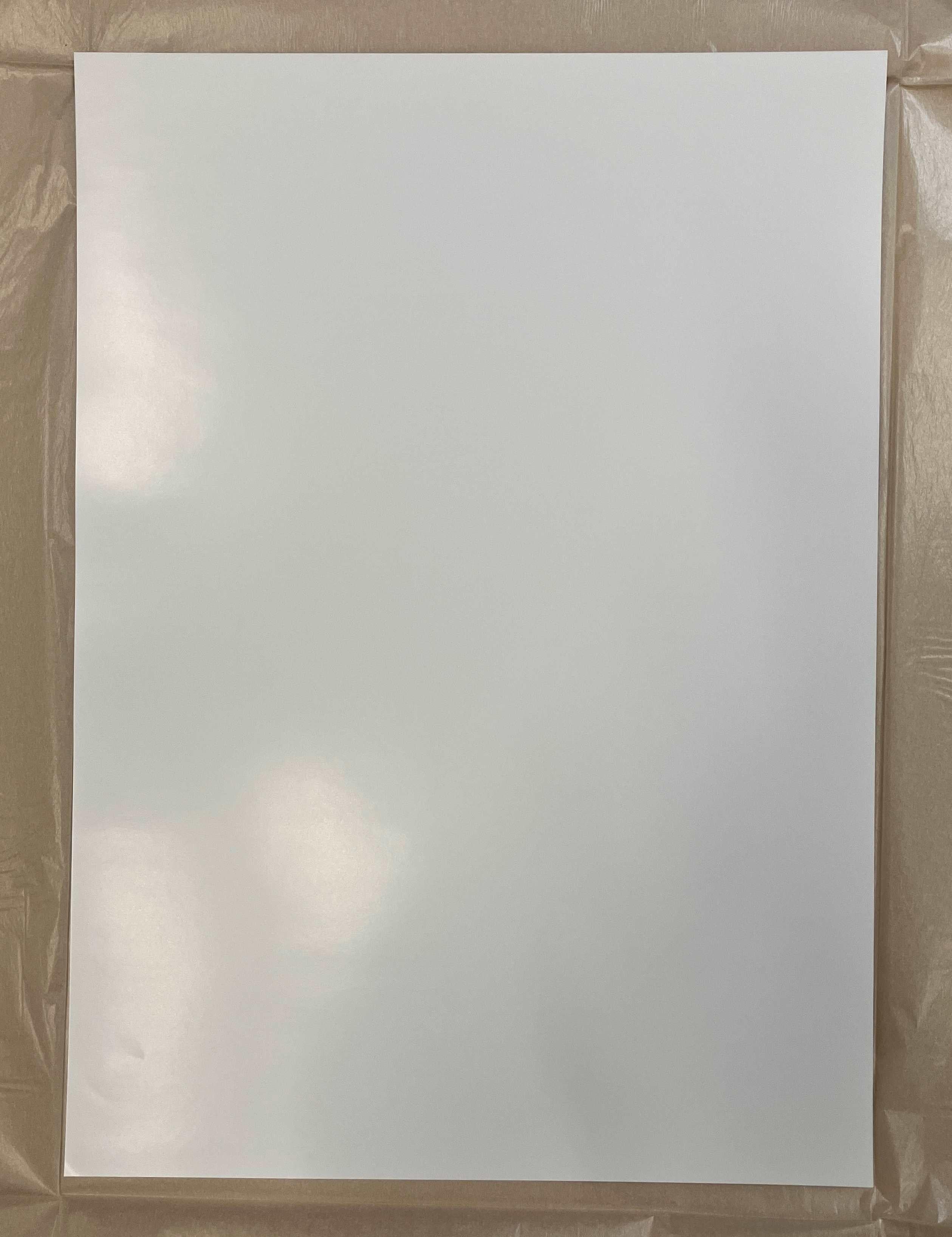 An Homage to Monopink, 1960D. Limited Edition (print) by Takashi Murakami signed 9