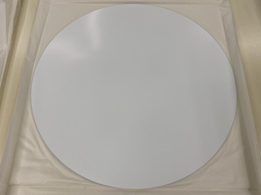 Bol à fleurs (3D) - Rouge, rose, bleu Édition limitée (impression) par  Takashi Murakami en vente 4