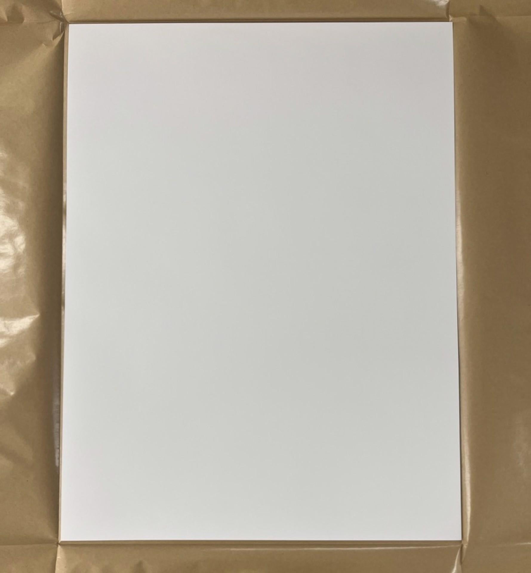 Murakami Flowers in a Qinghua Vase, 2024 Limited Edition by Takashi Murakami im Angebot 4