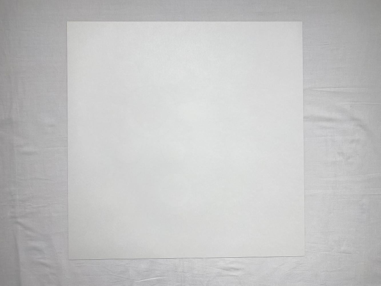 Terciopelo rosa. Edición limitada (impresión) de Takashi Murakami firmada y numerada en venta 5