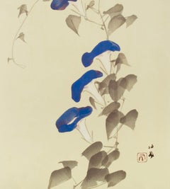 Morning Glory Vine and Flowers