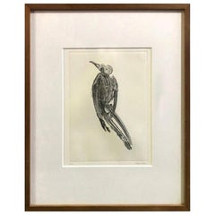 Takuji Kubo Signed Limited Edition Japanese Etching Print Dead Bird