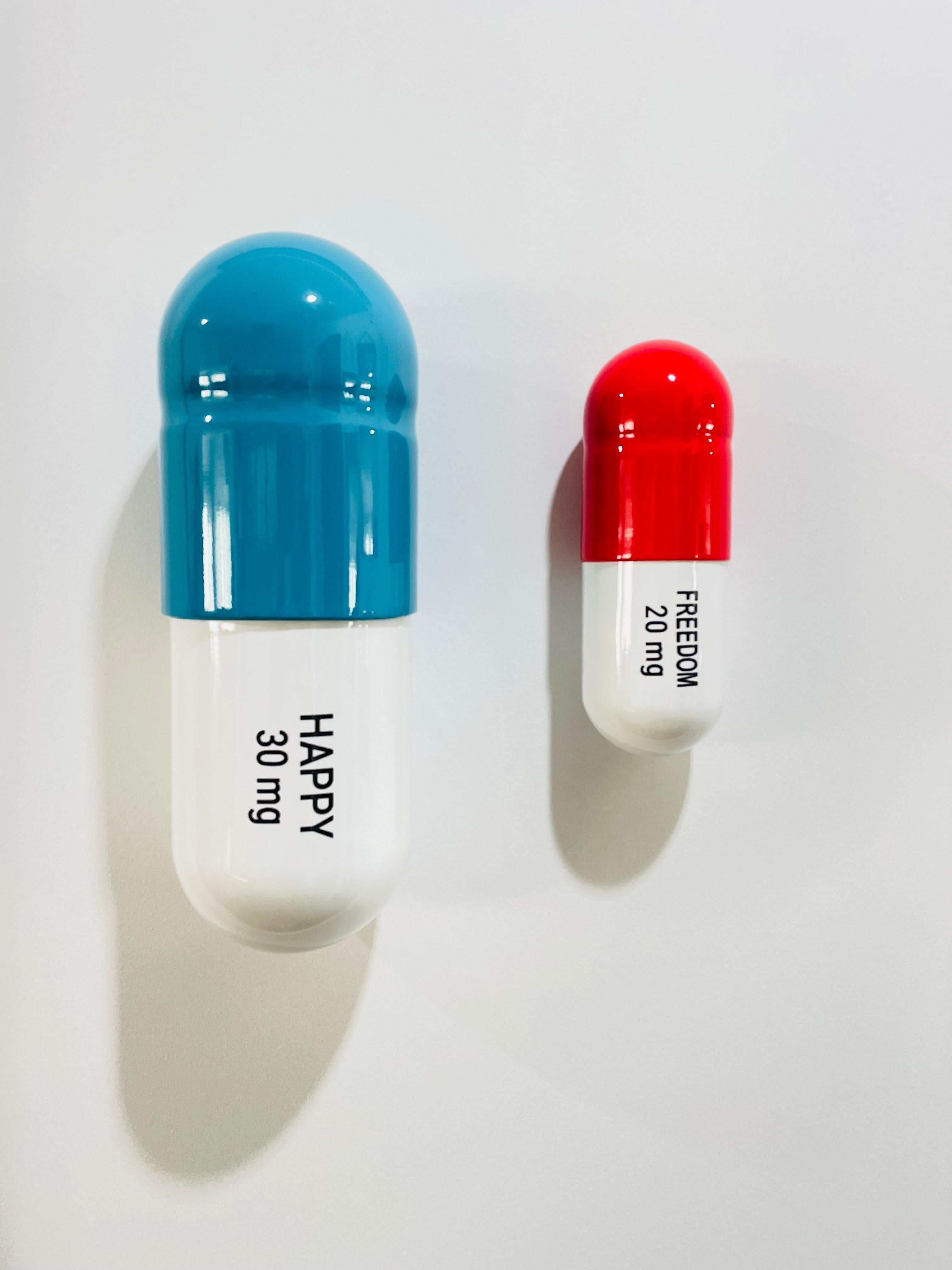 30 MG Happy 20 MG freedom pill Combo (red, turquoise) - figurative sculpture - Sculpture by Tal Nehoray