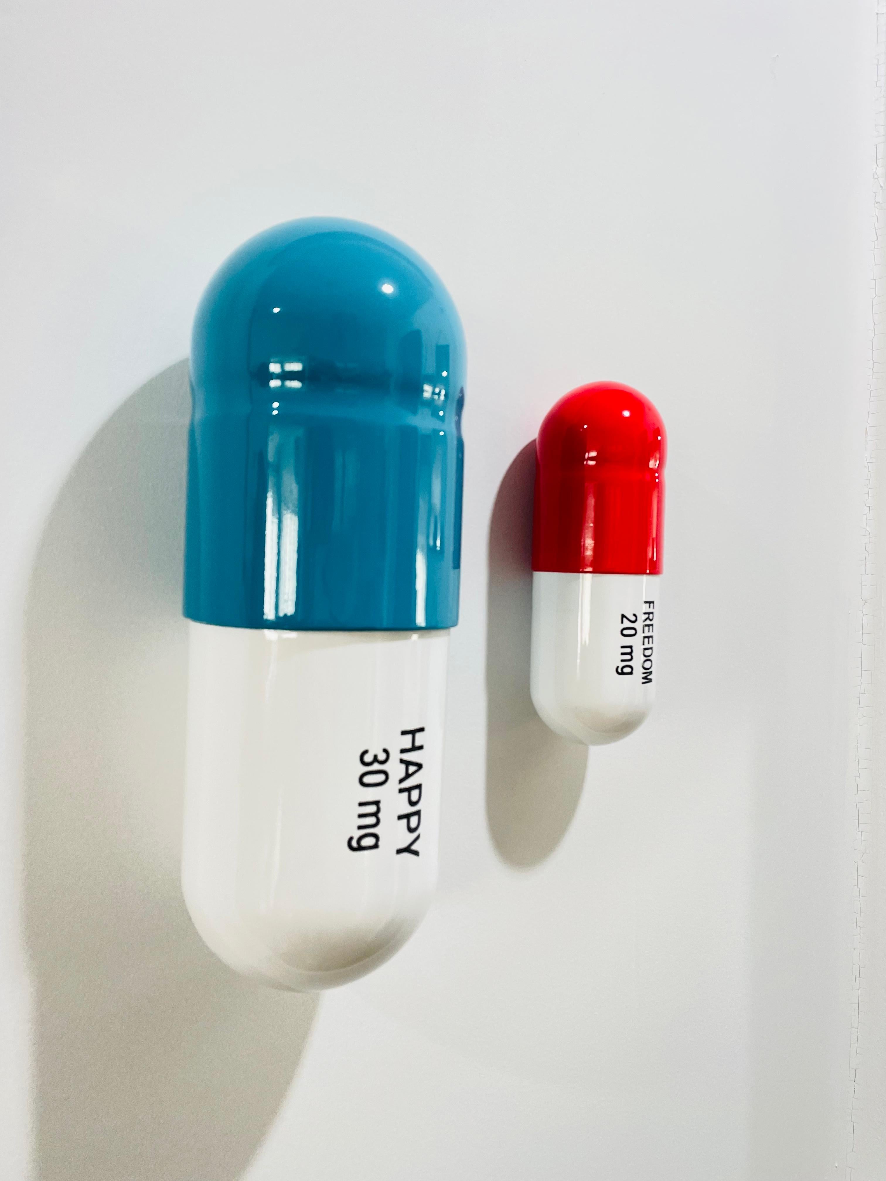 30 MG Happy 20 MG pilulier de liberté (rouge, turquoise) - sculpture figurative - Gris Figurative Sculpture par Tal Nehoray