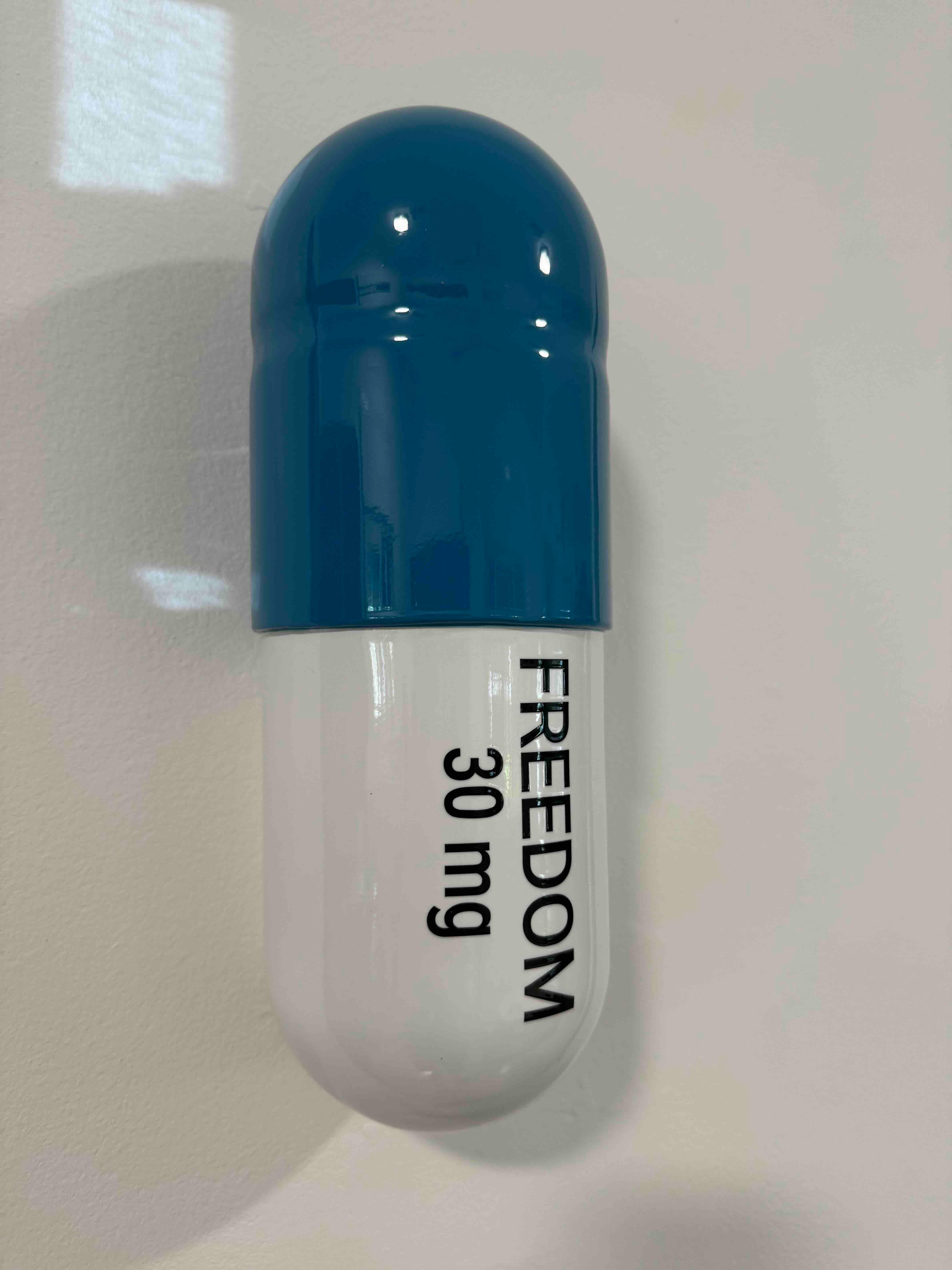 Pillola Freedom grande da 30 mg (blu e bianca) - scultura figurativa in vendita 5