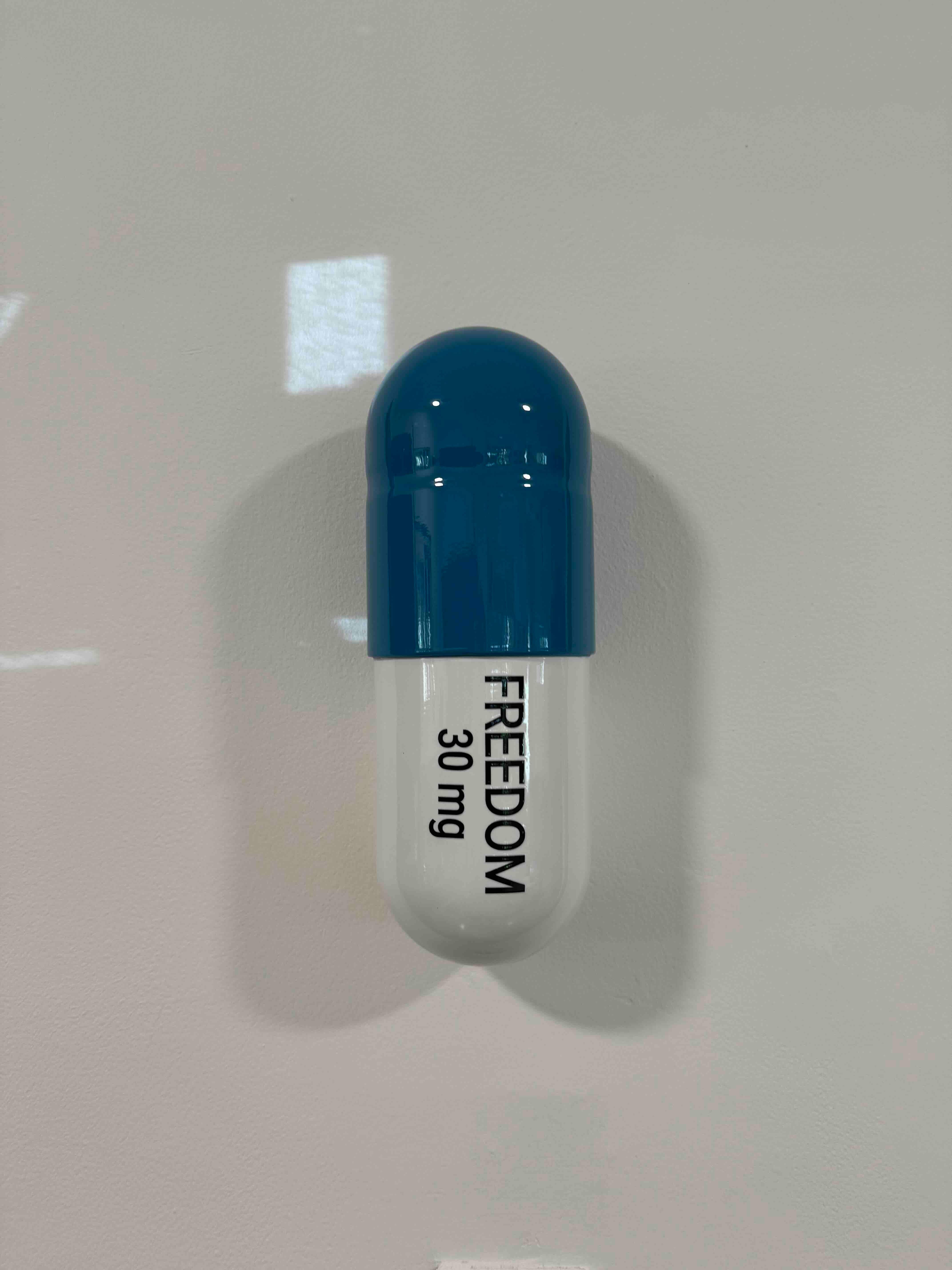 Pillola Freedom grande da 30 mg (blu e bianca) - scultura figurativa in vendita 6