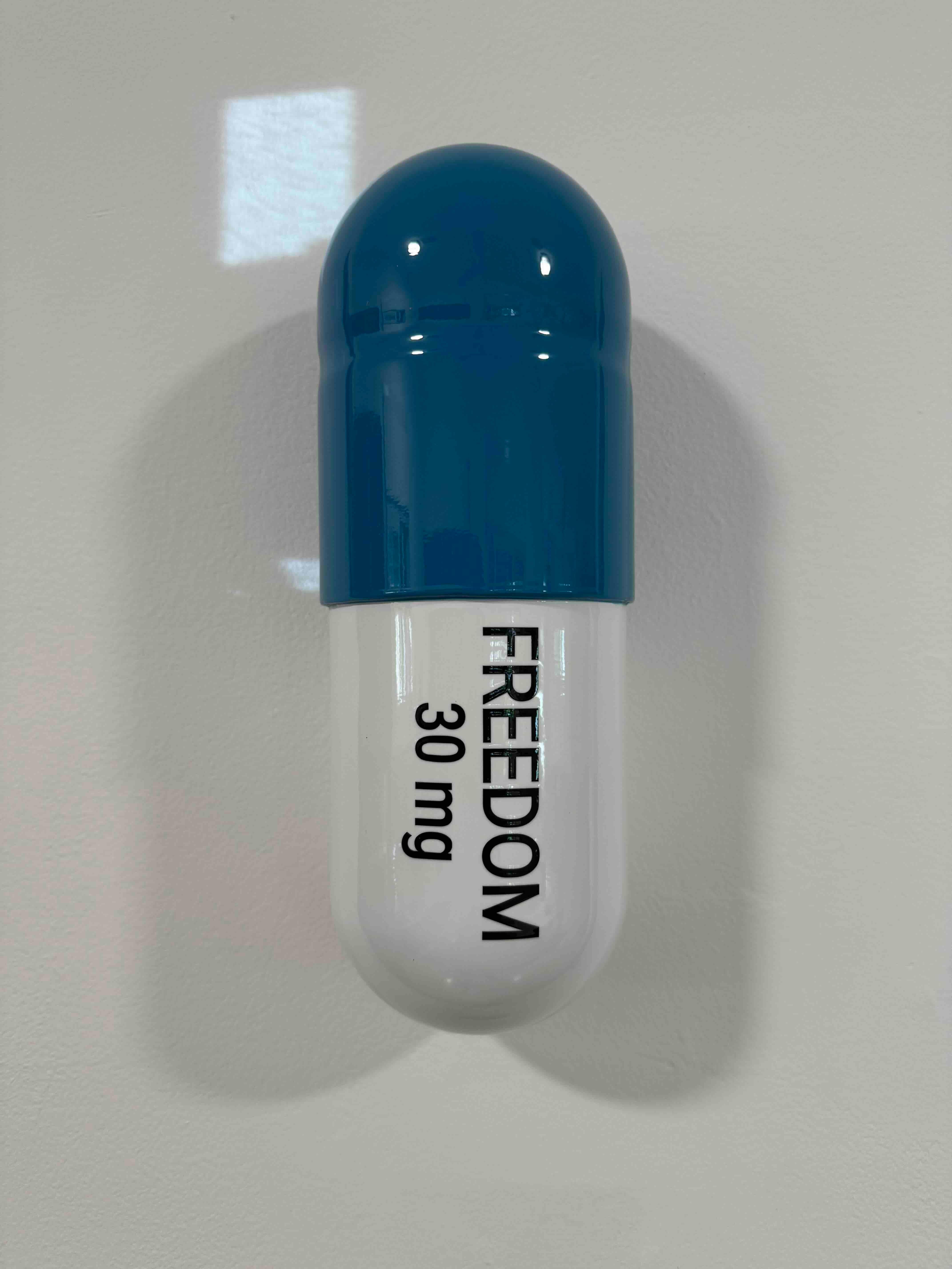 Pillola Freedom grande da 30 mg (blu e bianca) - scultura figurativa - Sculpture di Tal Nehoray