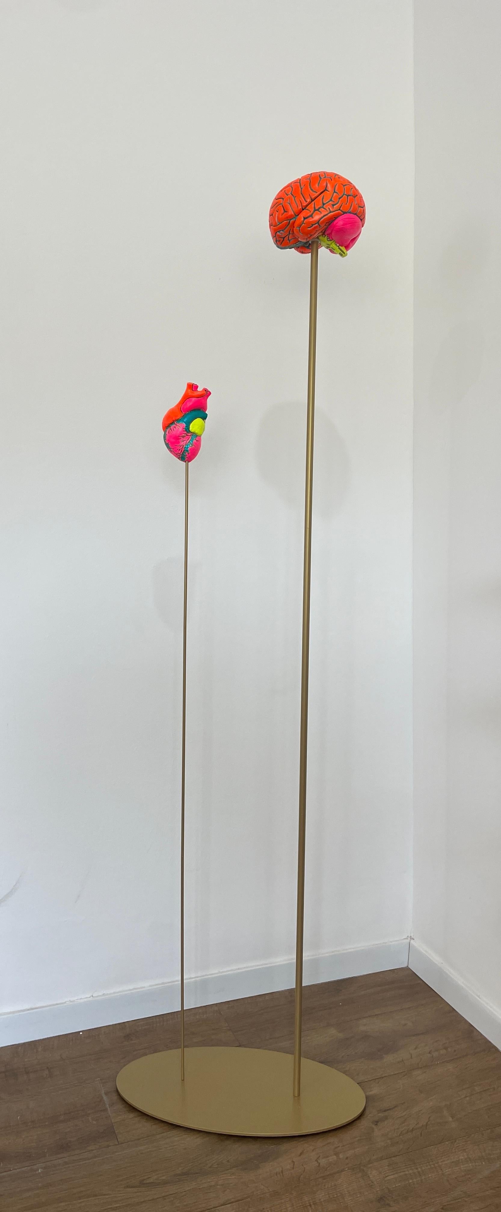 This standing kinetic sculpture by Tal Nehoray is from her latest body of works and is made of 2 hand made sculptures: a heart and a brain that are mounted on metal base.
Both sculptures are made of ceramic and plaster and are hand painted with