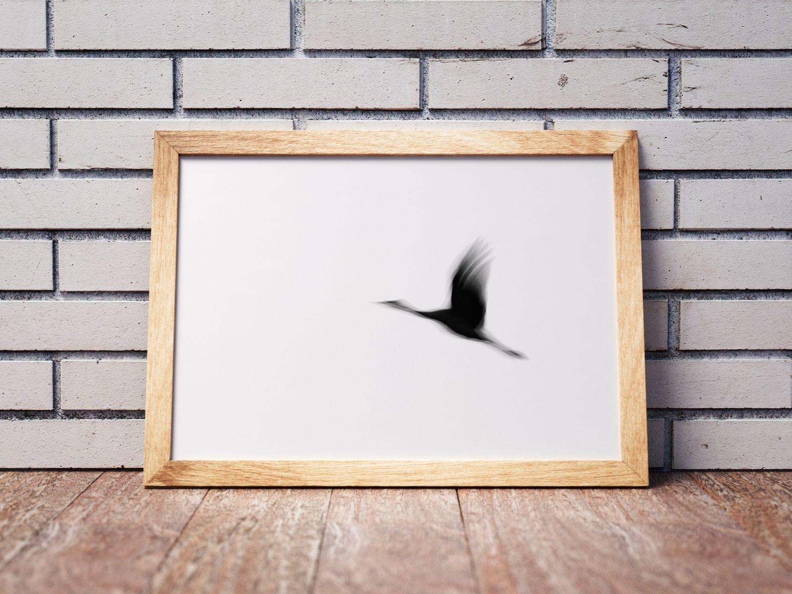 Crane(s) I, Photograph, Archival Ink Jet For Sale 1