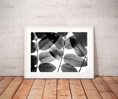 Experimente mit Blättern II, Fotografie, Archival Ink Jet
