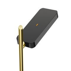Talia Floor Lamp in Black Matt/Gloss and Brass Finish by Pablo Designs
