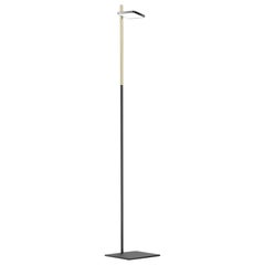 Lampada da terra Talia in nero opaco/lucido e ottone di Pablo Designs