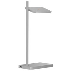 Talia Table Lamp in Grey Matt/Gloss Finish by Pablo Designs