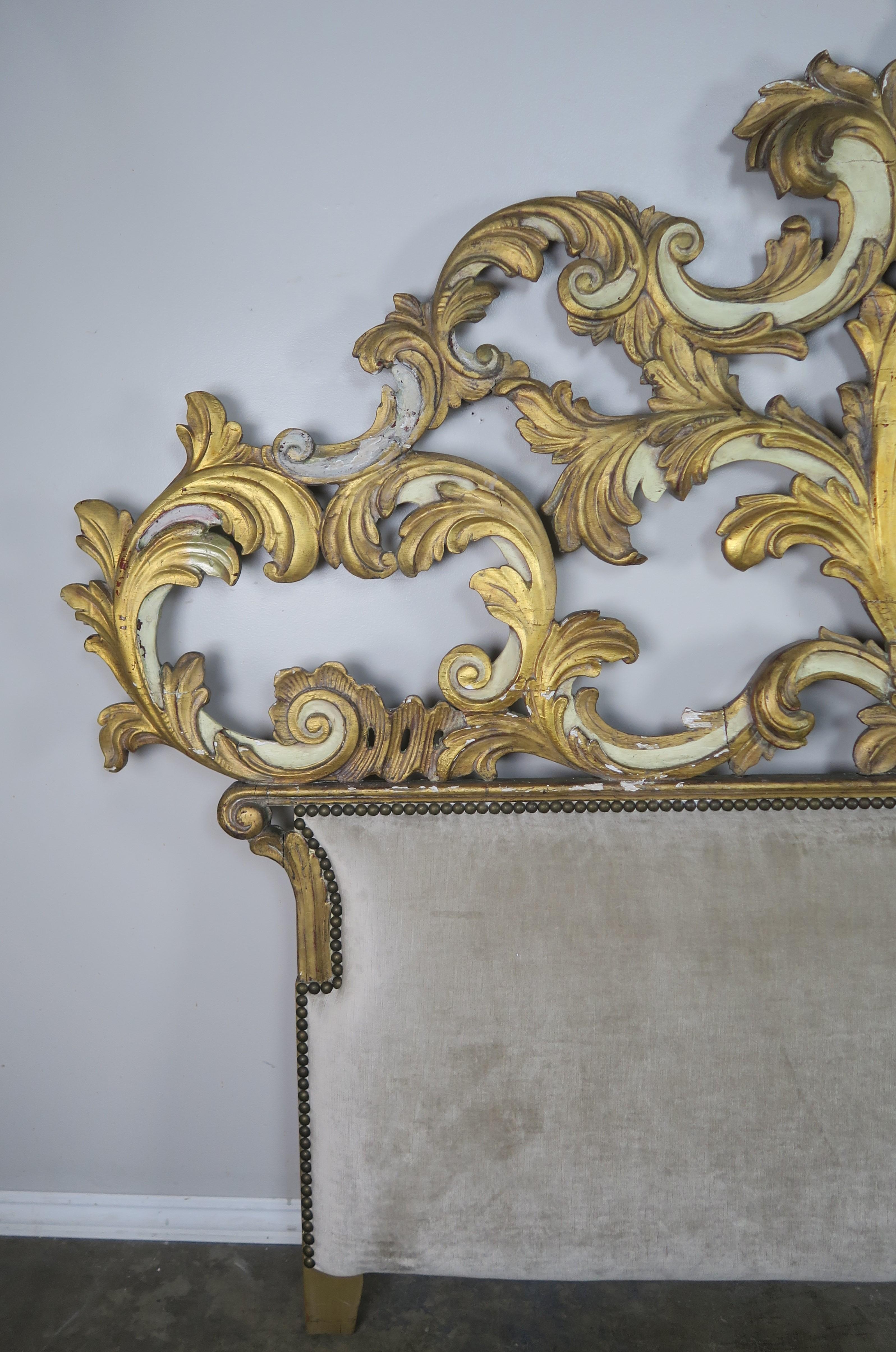 Monumental size painted and gold leaf carved headboard made with scrollwork and swirling acanthus leaves throughout. The headboard is newly reupholstered in a neutral colored velvet with nailhead trim detail.