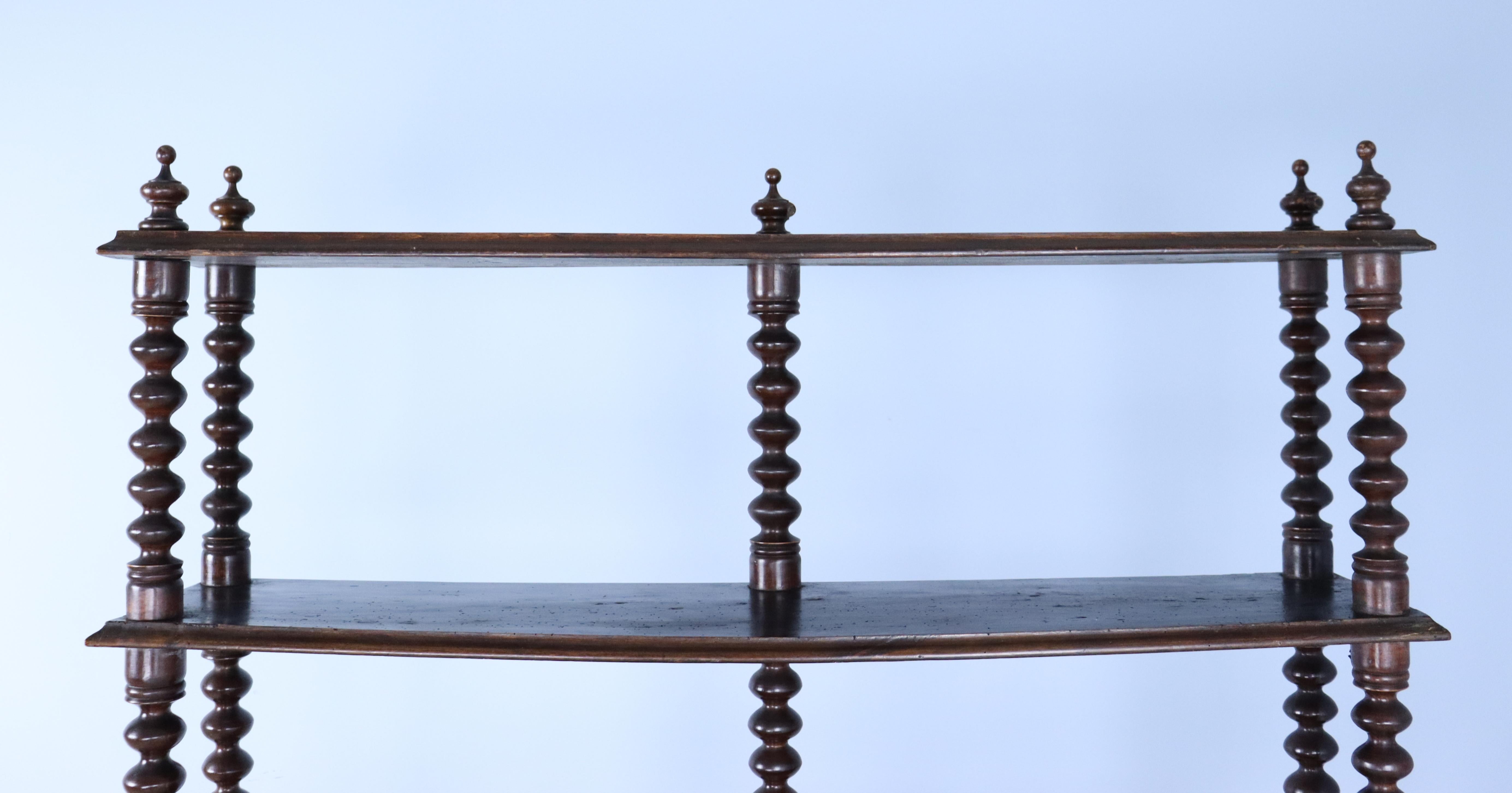 19th Century Tall and Narrow Bobbin Turned Bookcase