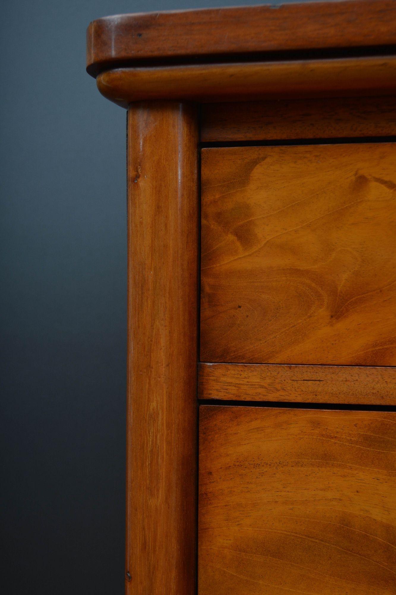 Tall and Slim Victorian Mahogany Chest of Drawers For Sale 5