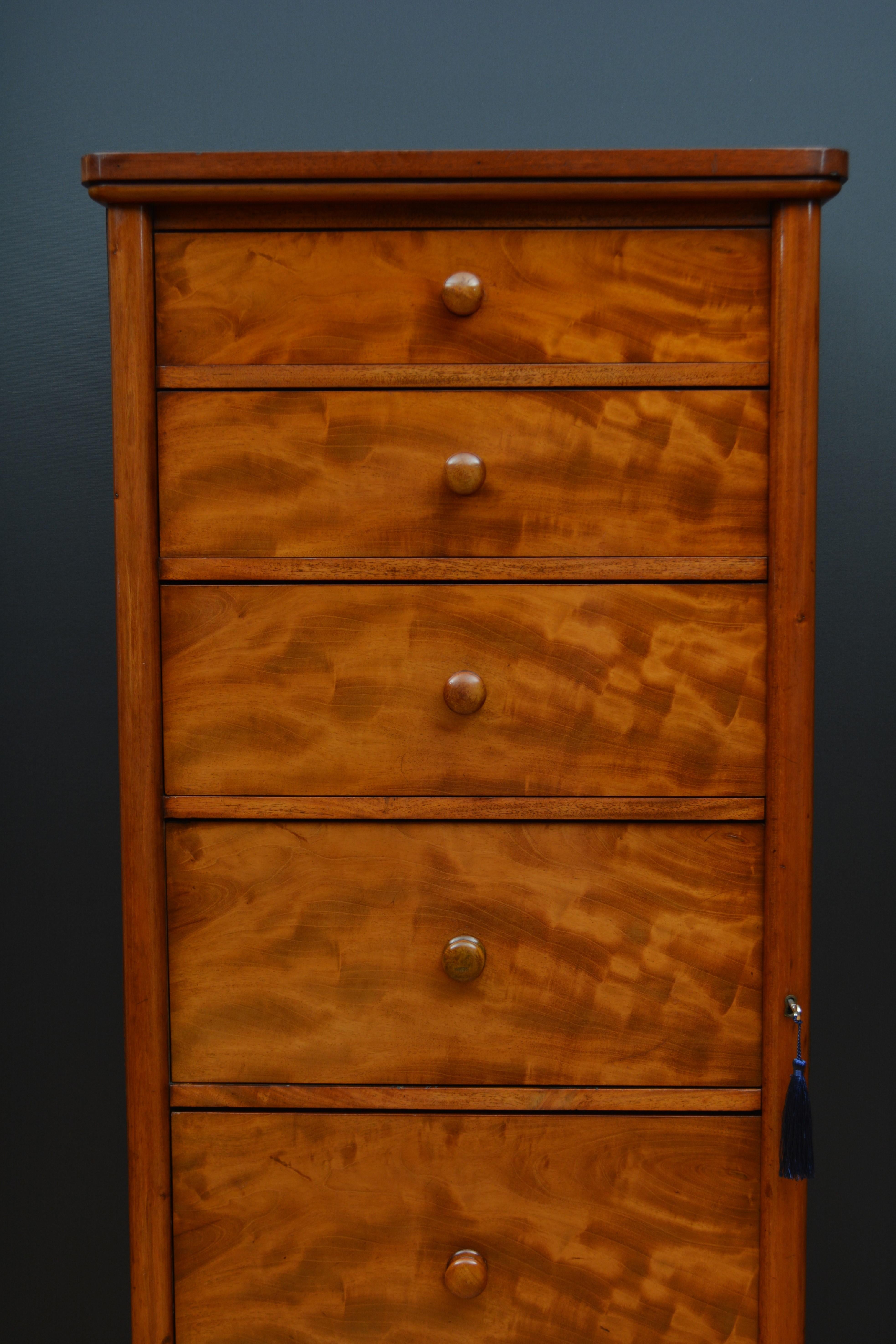 19th Century Tall and Slim Victorian Mahogany Chest of Drawers For Sale