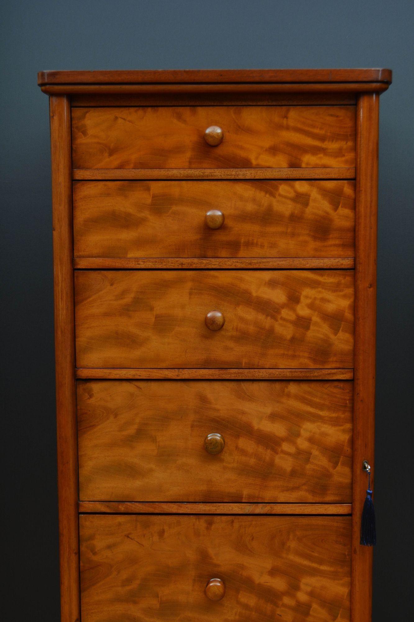 19th Century Tall and Slim Victorian Mahogany Chest of Drawers For Sale