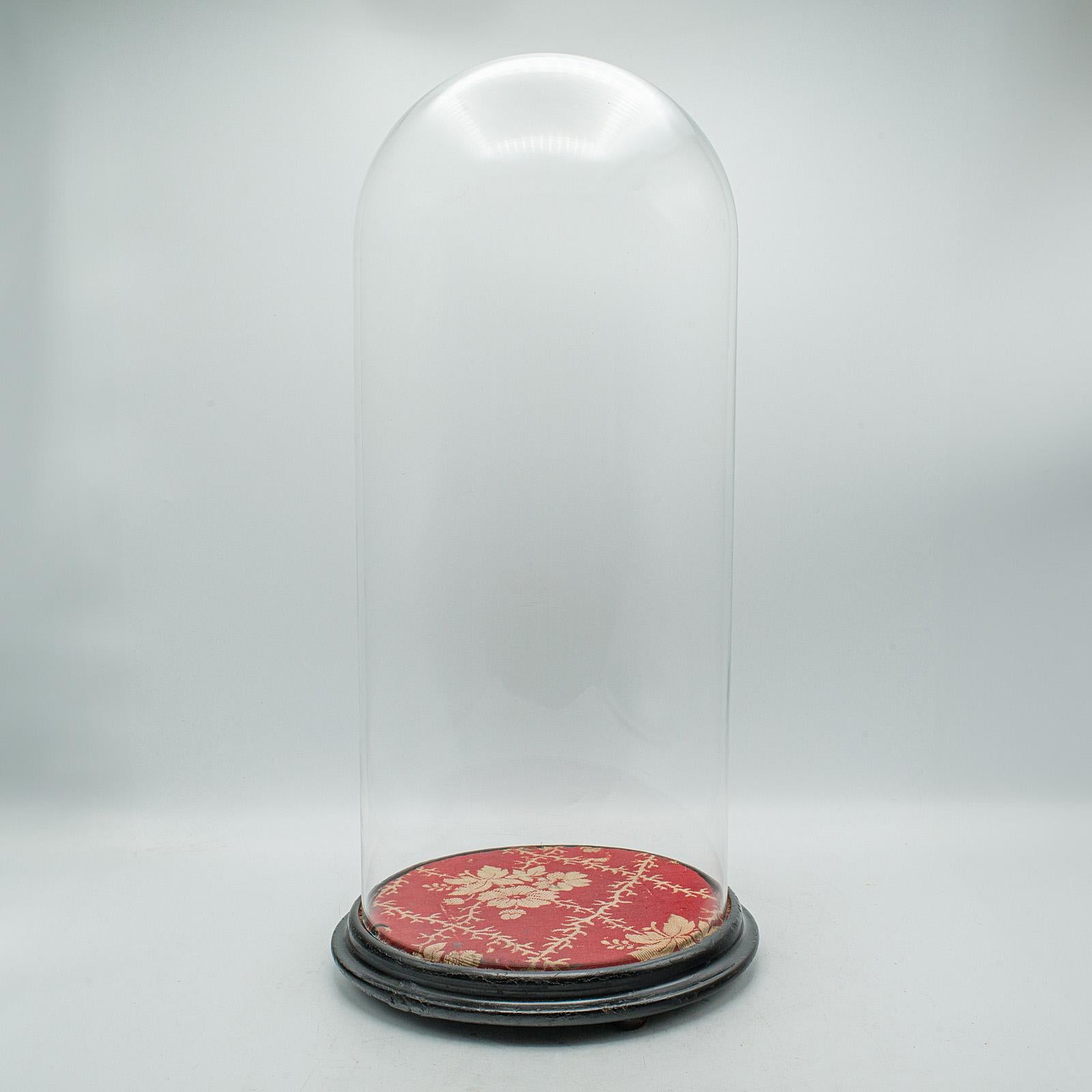 Großer antiker Collector's Dome, englisch, Glas, Ornament-Vitrine, spätviktorianisch im Angebot 4