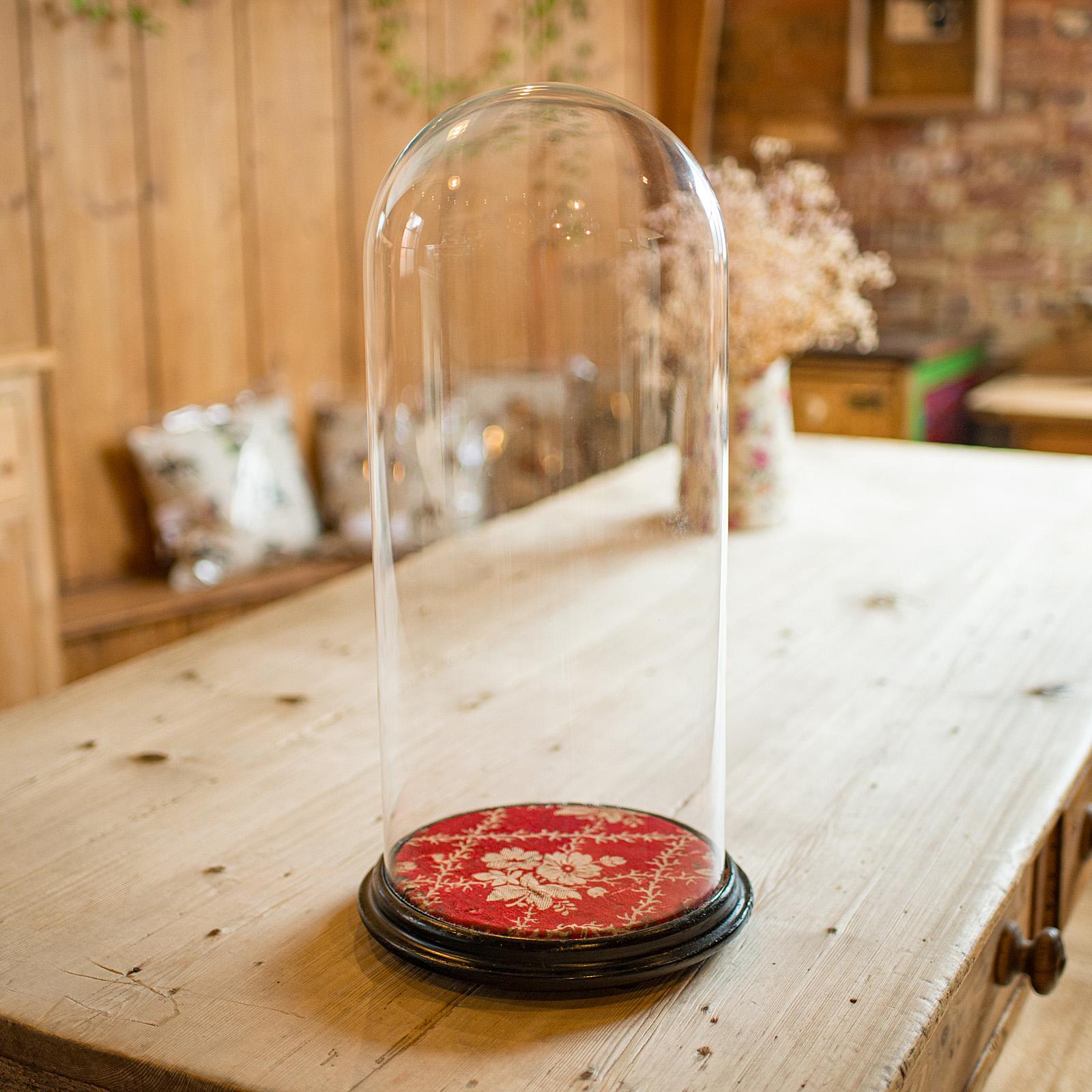 Großer antiker Collector's Dome, englisch, Glas, Ornament-Vitrine, spätviktorianisch (Spätviktorianisch) im Angebot