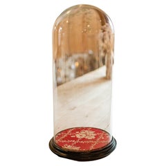 Grand dôme ancien de Collector, anglais, en verre, vitrine d'ornement, fin de l'époque victorienne