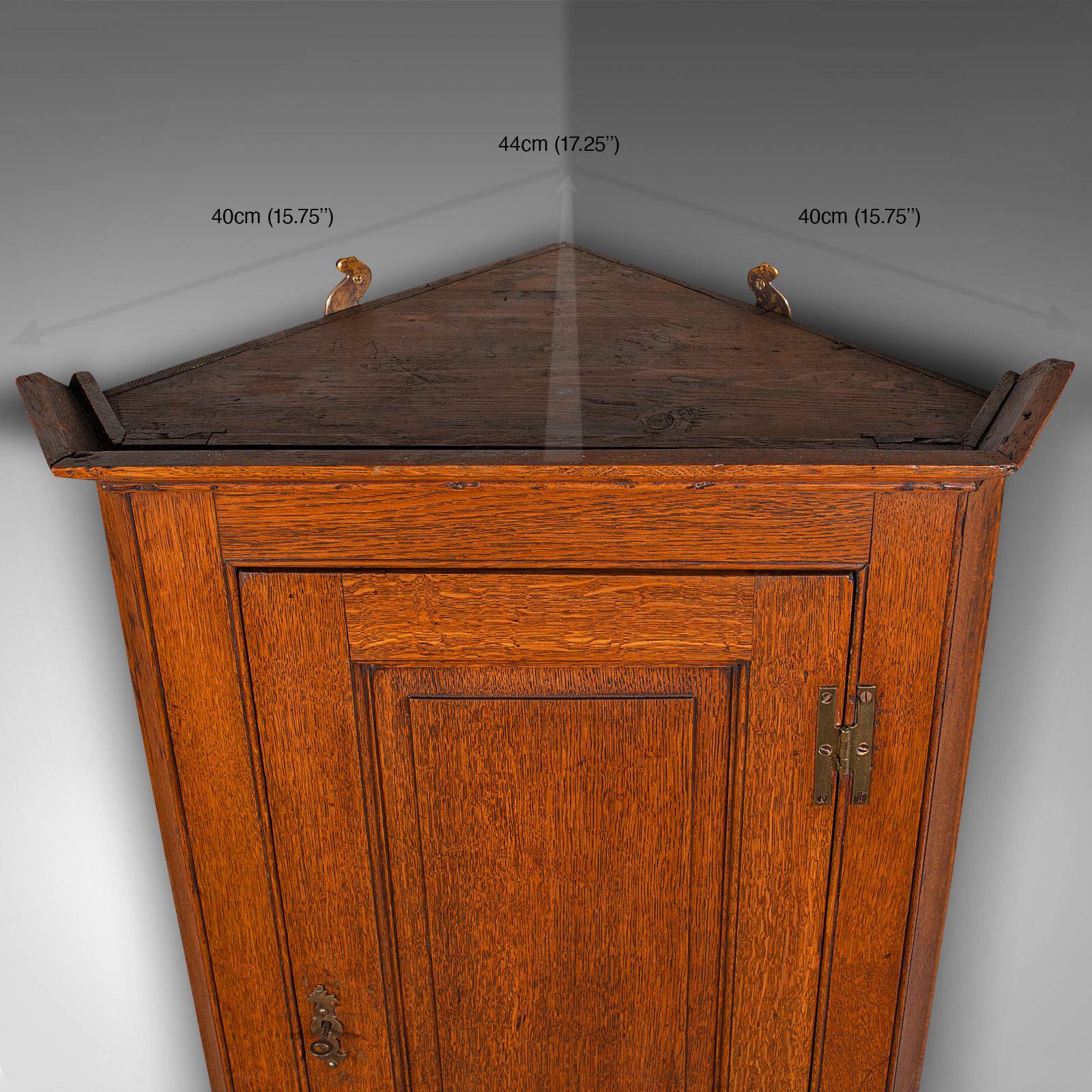 Tall Antique Corner Cabinet, English, Oak, 4 Shelf Wall Cupboard, Georgian, 1800 For Sale 5