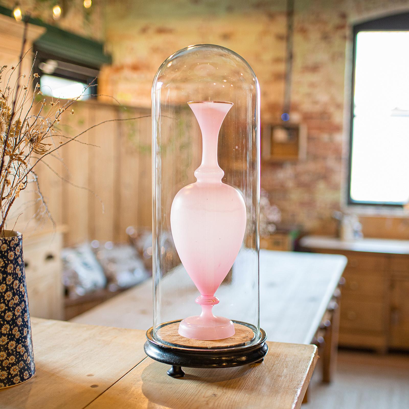 
This is a tall antique display showcase. An English, glass and stained pine taxidermy or ornament dome, dating to the early Victorian period, circa 1850.

Superb proportion to this fine Victorian dome, ideal for displaying medium-tall