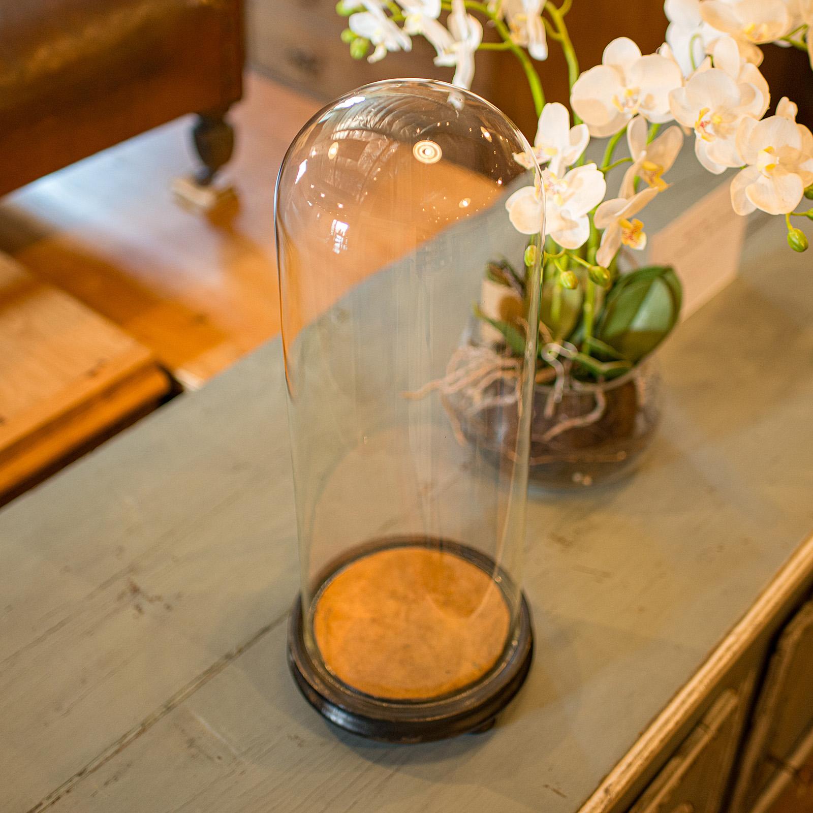 Tall Antique Display Showcase, English, Glass, Taxidermy, Dome, Victorian, 1850 For Sale 2