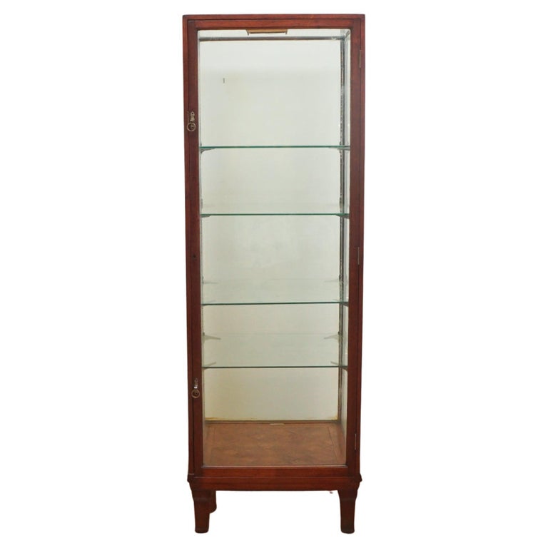 Tall Antique Mahogany Display Case For Sale at 1stDibs