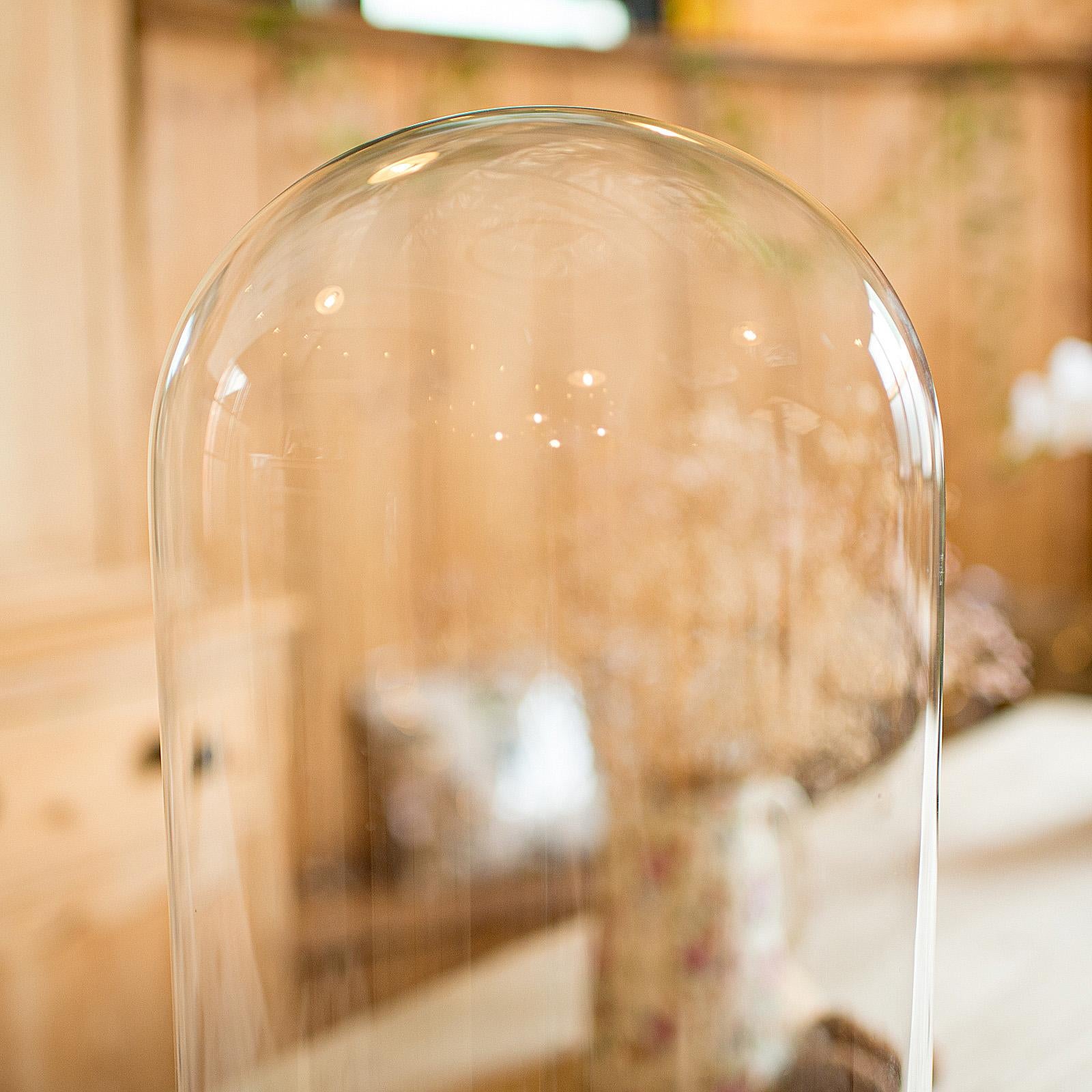 Tall Antique Professor's Specimen Dome, English, Glass, Taxidermy, Victorian For Sale 1