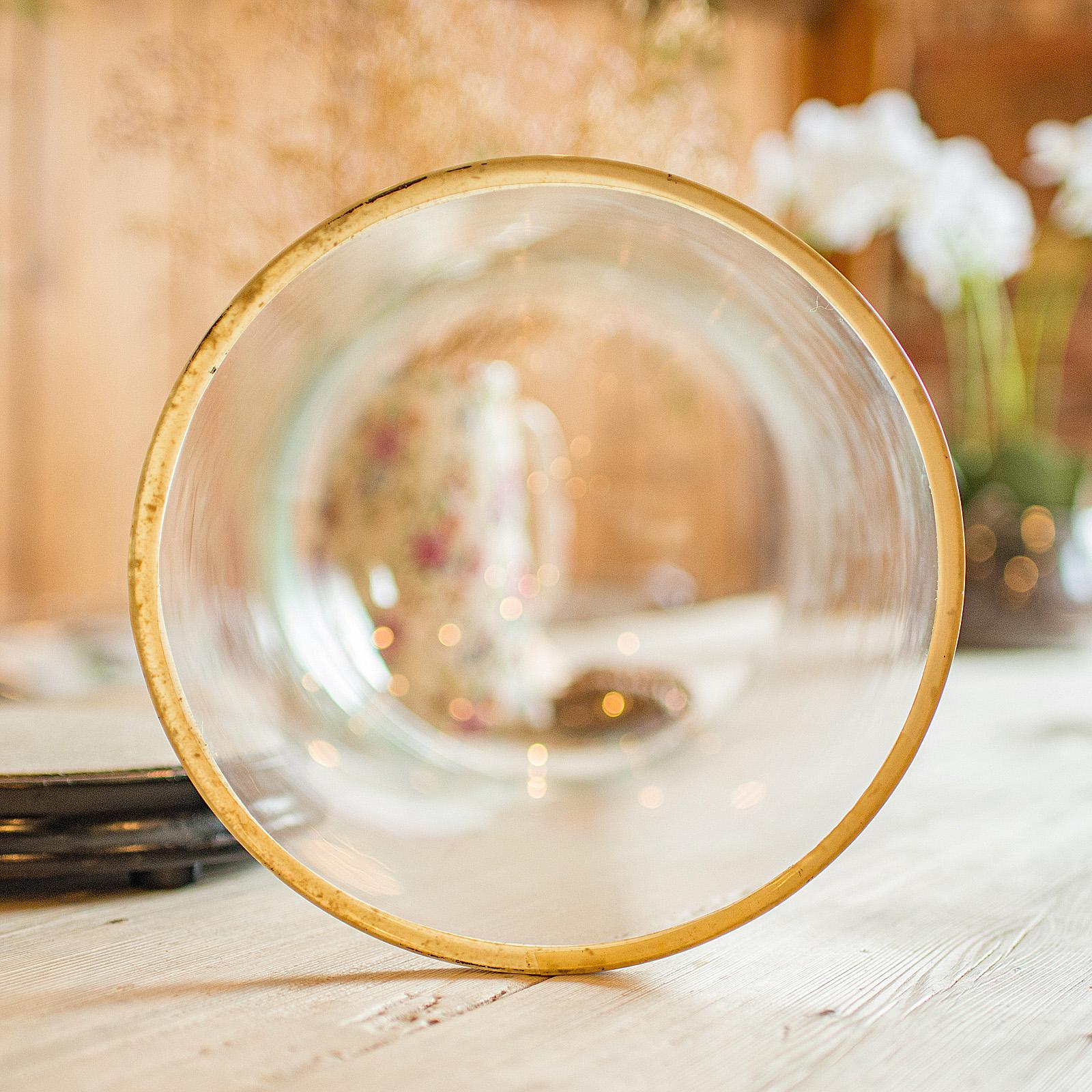Tall Antique Professor's Specimen Dome, English, Glass, Taxidermy, Victorian For Sale 3