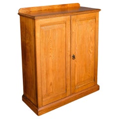 Tall Antique Side Cabinet, English, Ash, Book Cupboard, Hall, Lounge, Victorian