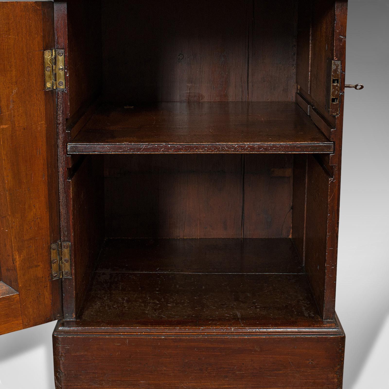 Tall Antique Side Cabinet, English, Mahogany, Bedside, Nightstand, Regency, 1820 5