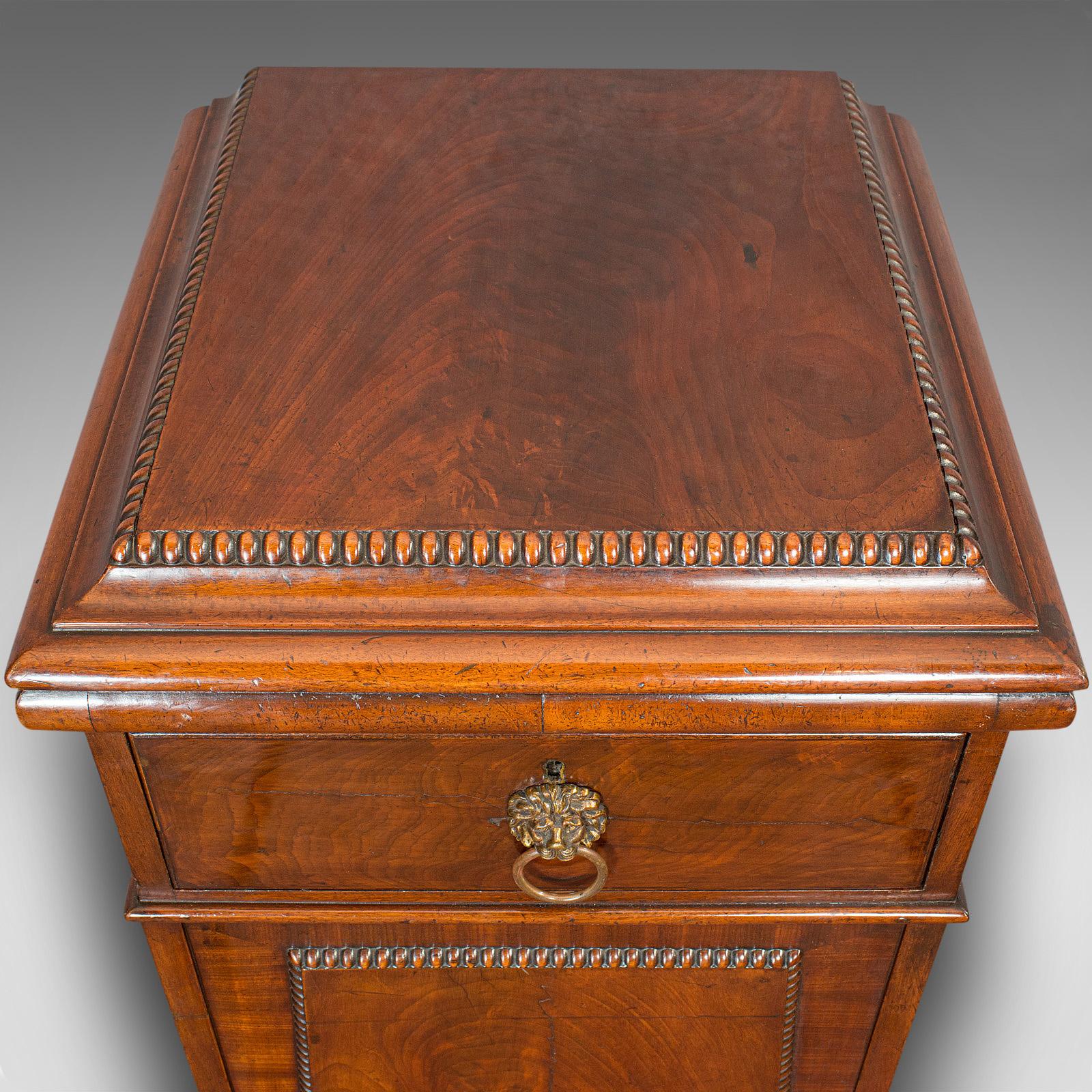Tall Antique Side Cabinet, English, Mahogany, Bedside, Nightstand, Regency, 1820 6