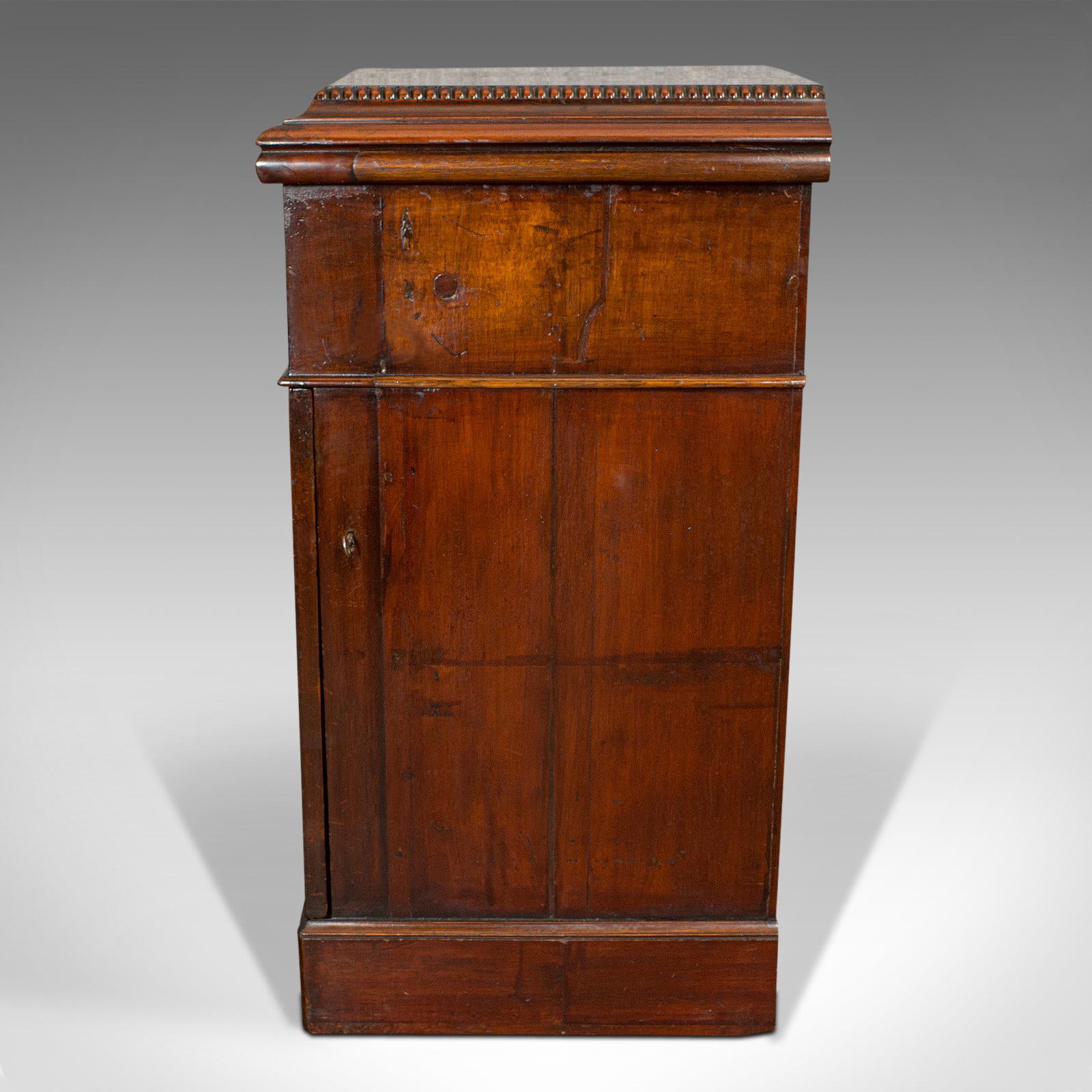 19th Century Tall Antique Side Cabinet, English, Mahogany, Bedside, Nightstand, Regency, 1820