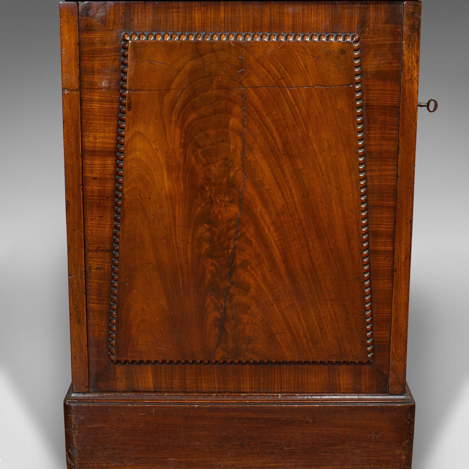 Tall Antique Side Cabinet, English, Mahogany, Bedside, Nightstand, Regency, 1820 4