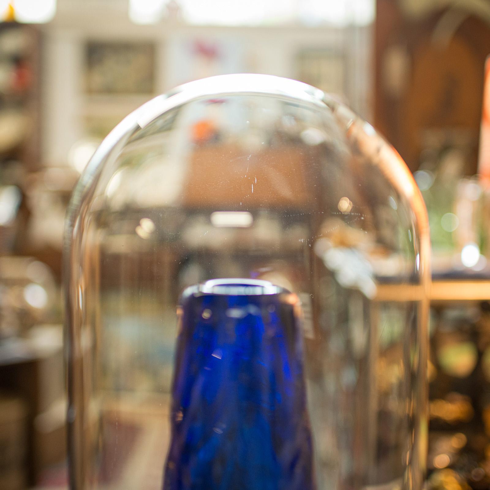 Britannique Grand dôme de spécimen antique, anglais, en verre, taxidermie, vitrine d'exposition, victorien en vente