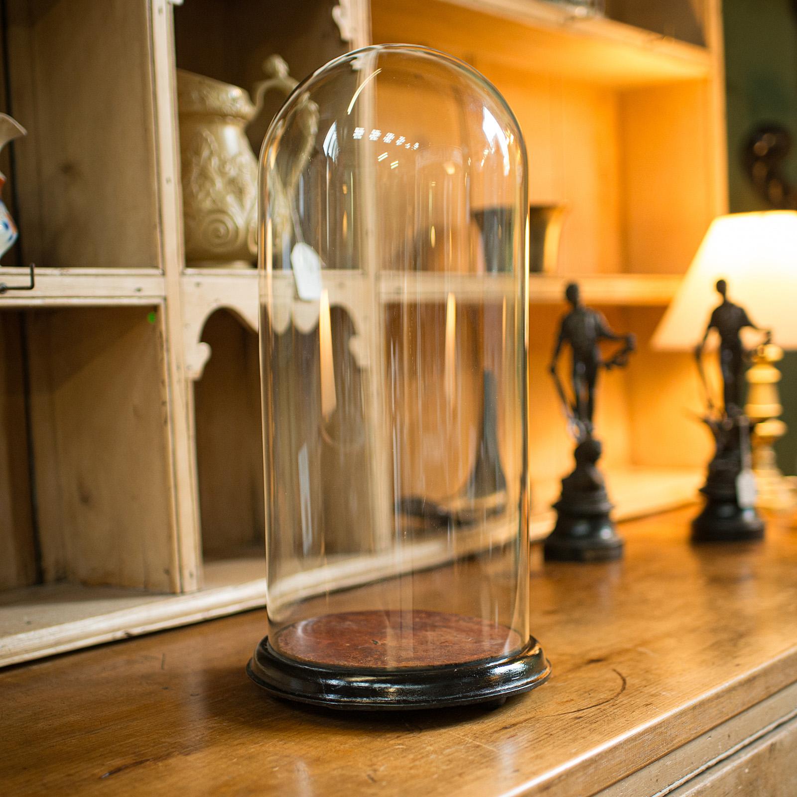 XIXe siècle Grand dôme de spécimen antique, anglais, en verre, taxidermie, vitrine d'exposition, victorien en vente