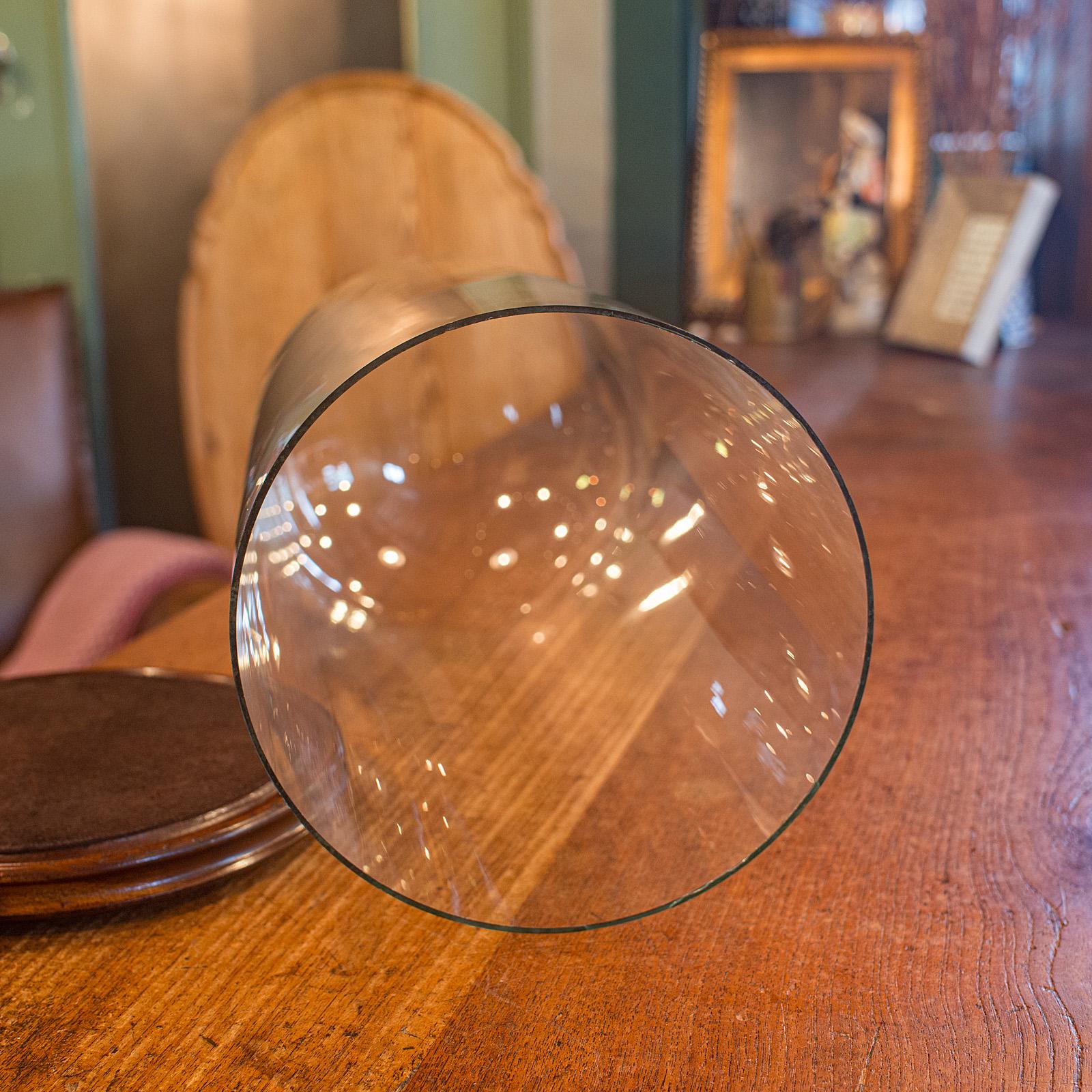 Cupola antica alta per tassidermia, inglese, vetro, espositore da collezione, tardo vittoriano in vendita 3