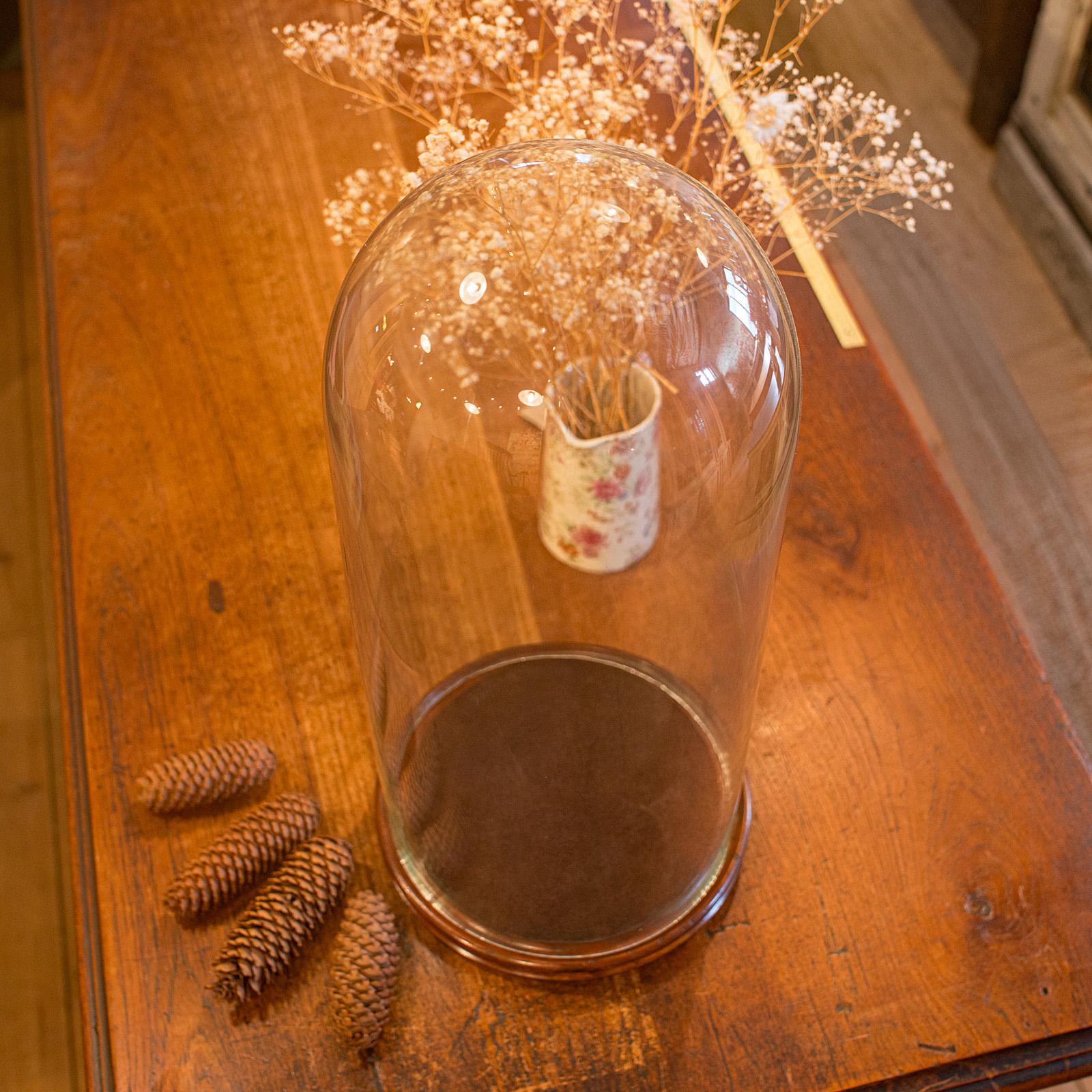 Cupola antica alta per tassidermia, inglese, vetro, espositore da collezione, tardo vittoriano in vendita 4