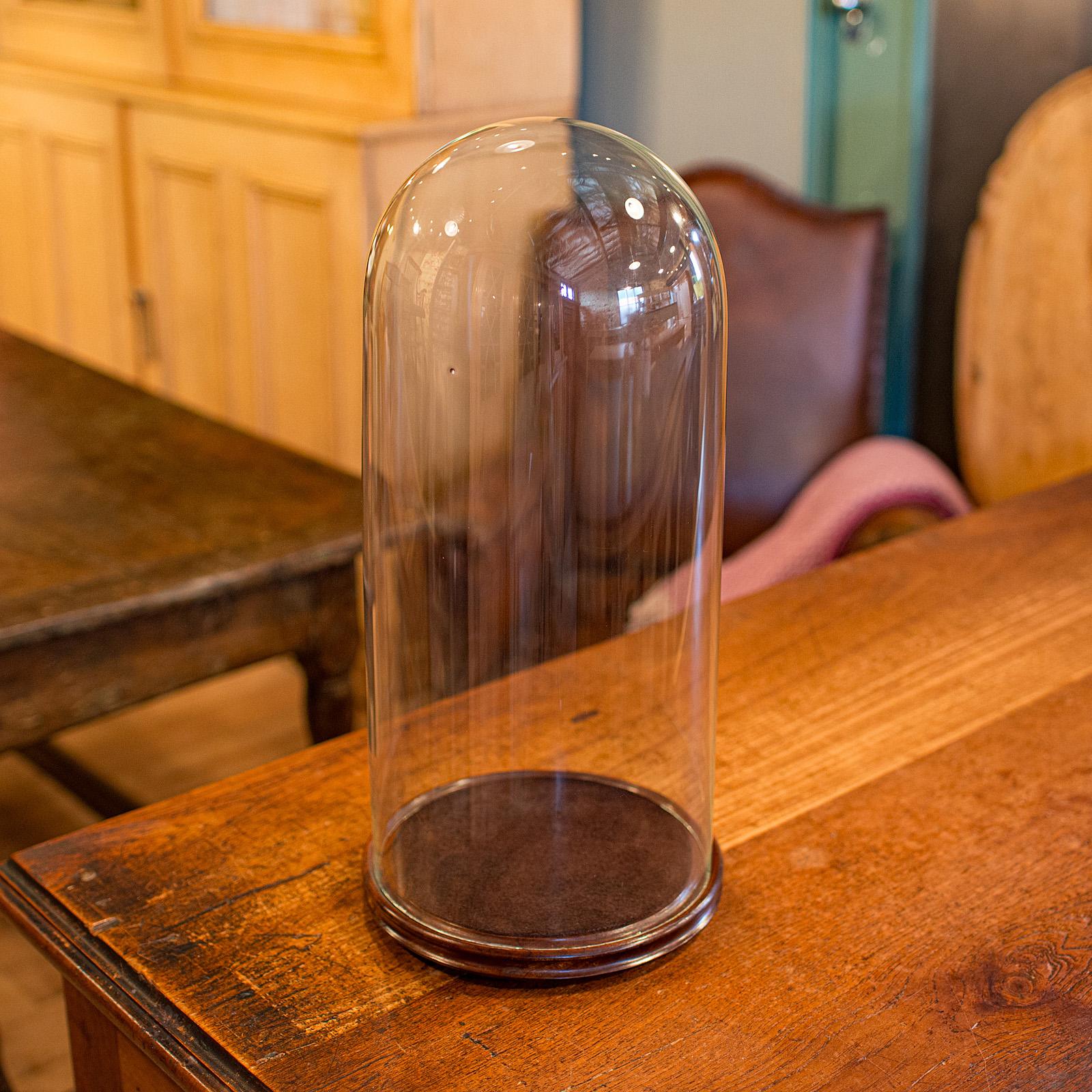 Si tratta di un'alta cupola di tassidermia antica. Vetrina da collezione o ornamentale inglese in vetro e mogano, risalente al tardo periodo vittoriano, circa 1900. Un'affascinante cupola espositiva dalle proporzioni raffinate e dalla presentazione