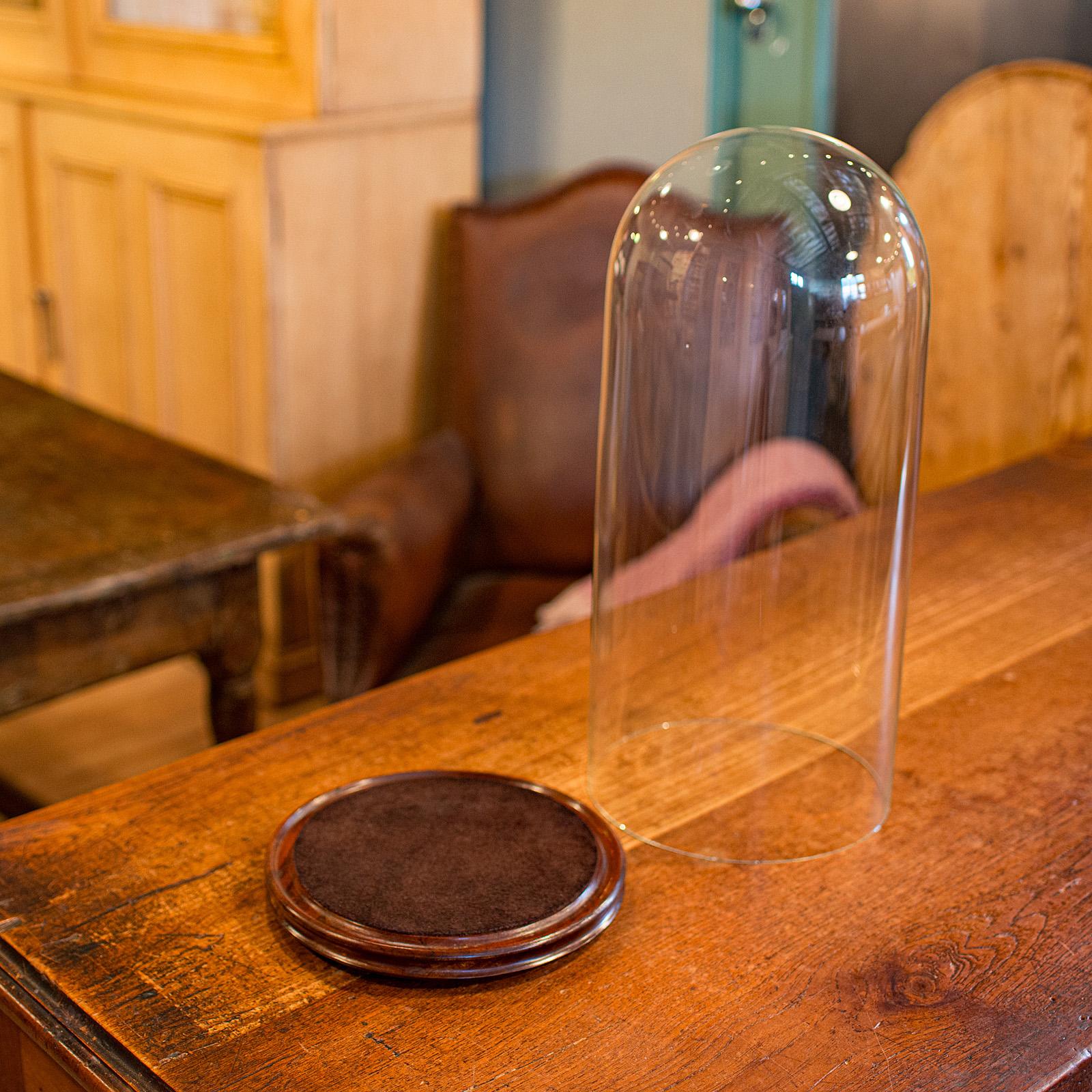 Britannico Cupola antica alta per tassidermia, inglese, vetro, espositore da collezione, tardo vittoriano in vendita