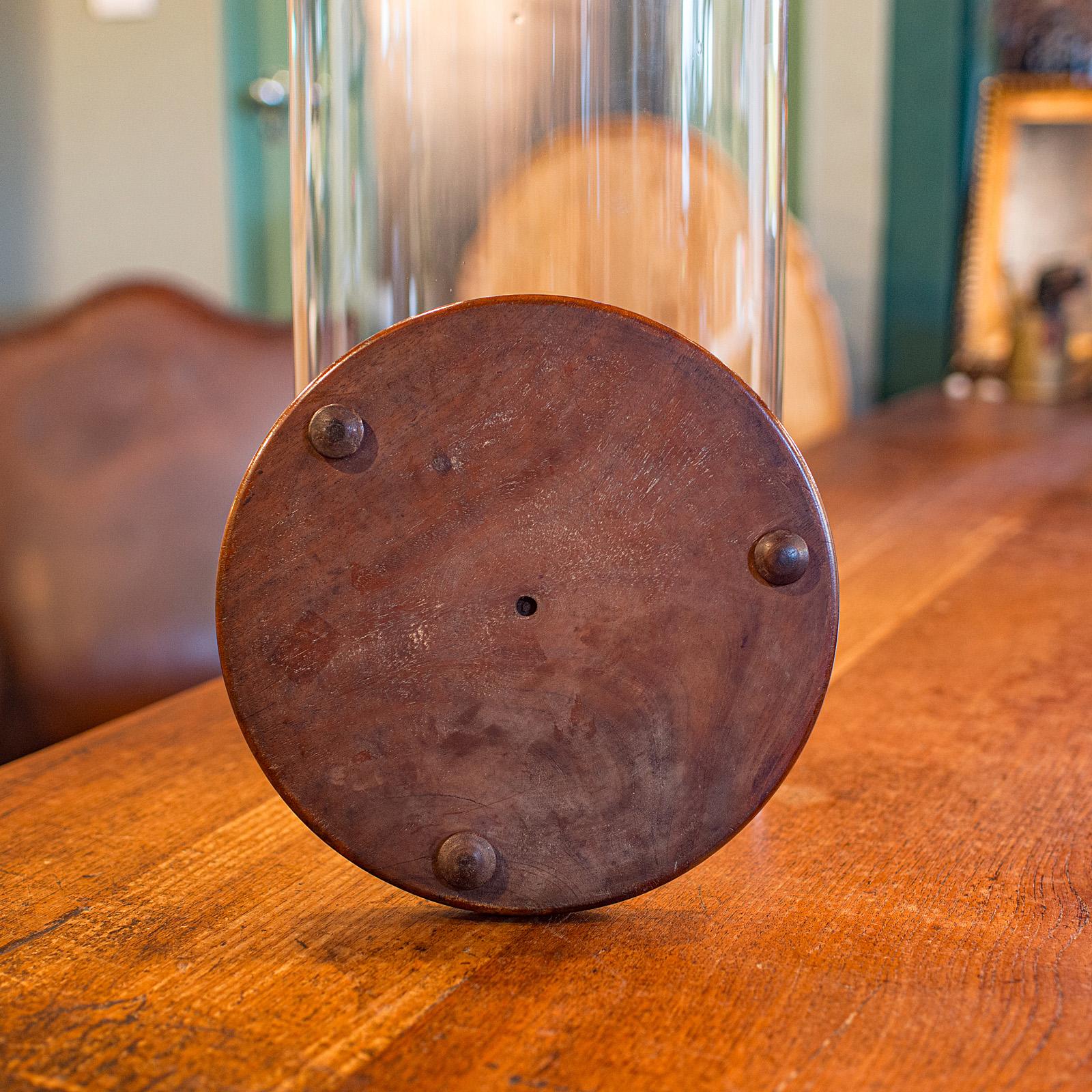 Cupola antica alta per tassidermia, inglese, vetro, espositore da collezione, tardo vittoriano in vendita 2