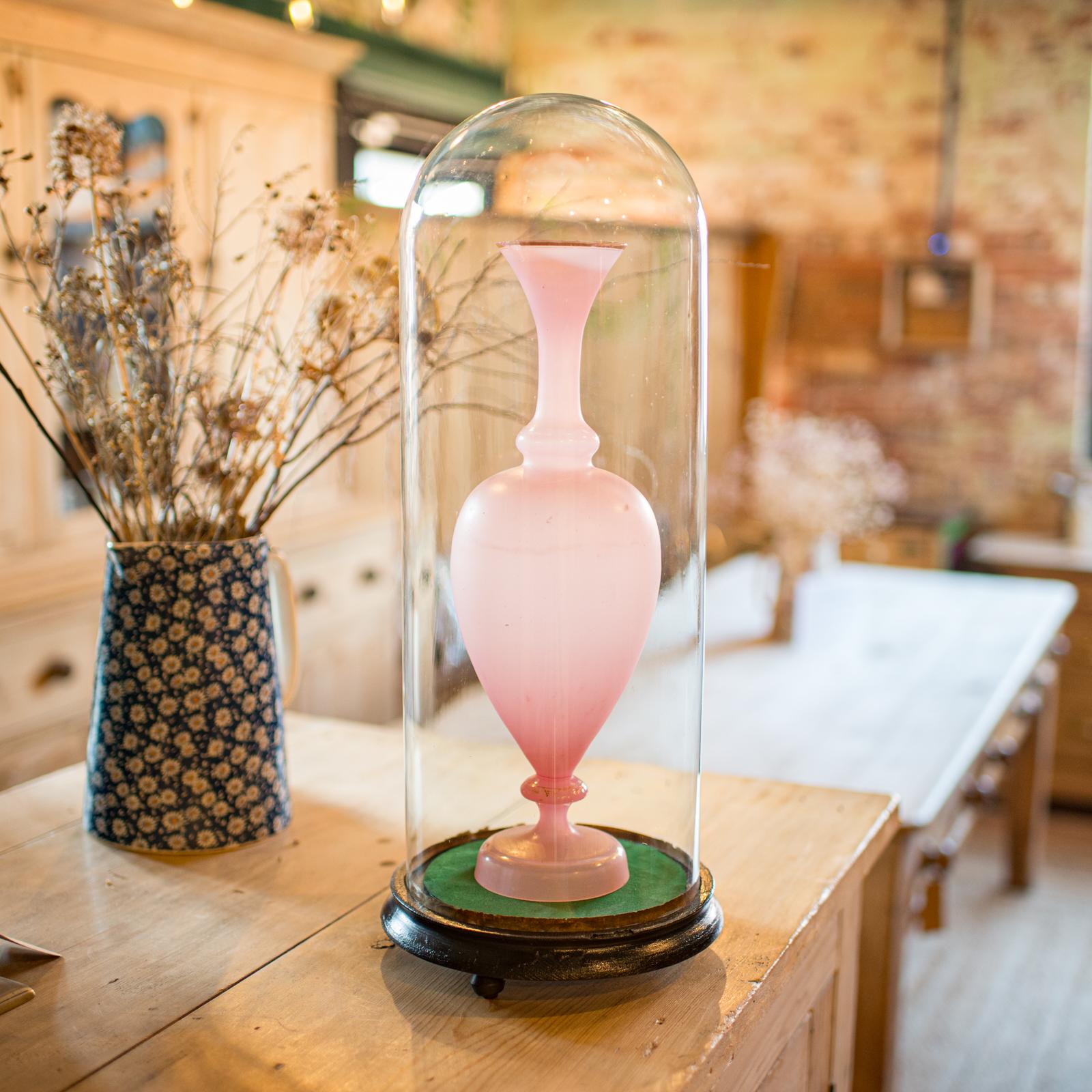 
This is a tall antique taxidermy dome. An English, glass and ebonised pine display case, dating to the late Victorian period, circa 1880.

Tall, slim proportion - ideal for displaying medium-tall exhibits
Displaying a desirable aged patina and in