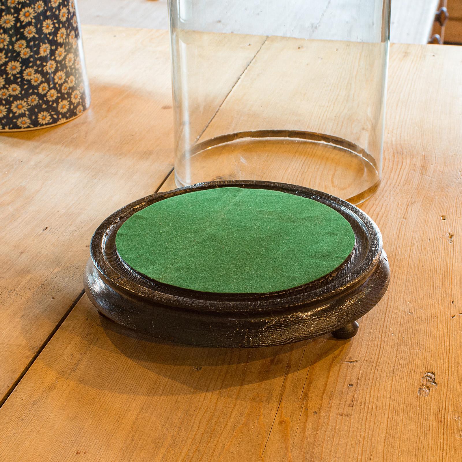 British Tall Antique Taxidermy Dome, English, Glass, Pine, Display Case, Victorian, 1880 For Sale
